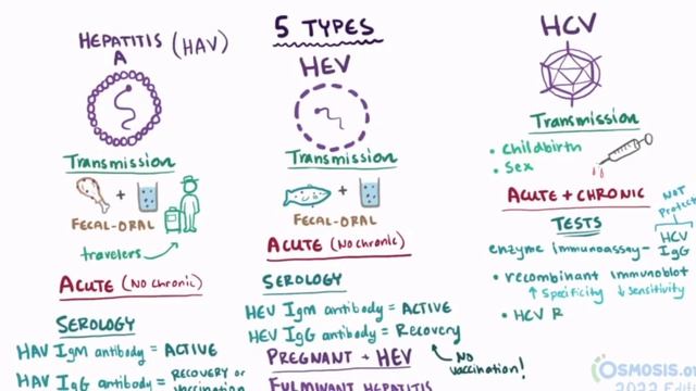 Hepatitis смотреть онлайн