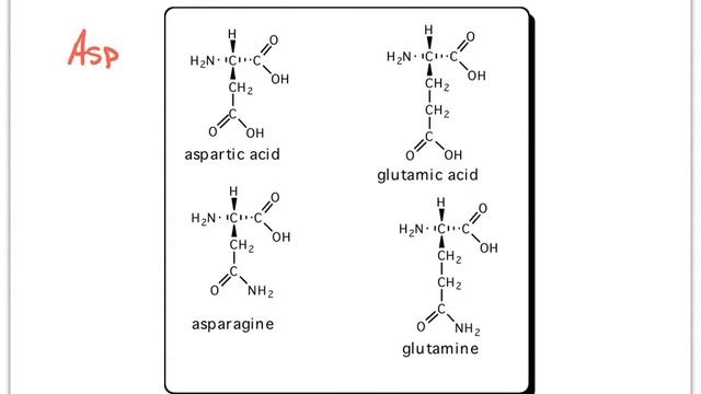 Amino Acid 3 letter and 1 letter Abbreviations 201 смотреть онлайн
