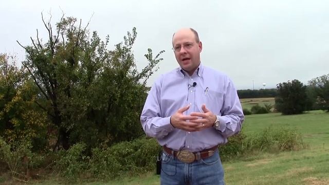 What is heterosis? смотреть онлайн