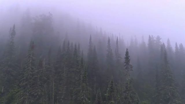 Ой, на горе дожж, дожж, дожж смотреть онлайн