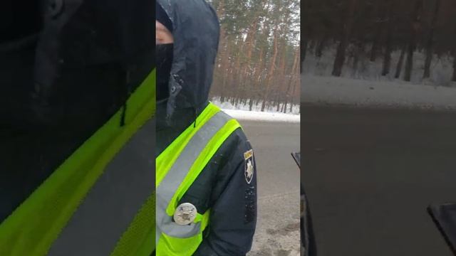 Пан Президент! это такая халтурная реформа дорожной полиции? смотреть онлайн