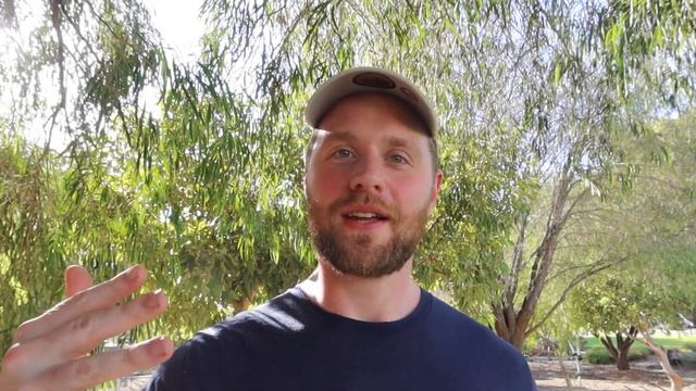 Week 1 Wrap Up! 30 Day Carnivore Challenge Ep 2 смотреть онлайн