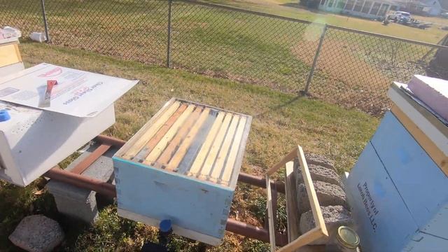 How to use an Oxalic Acid Vaporizer for your honey bees. смотреть онлайн