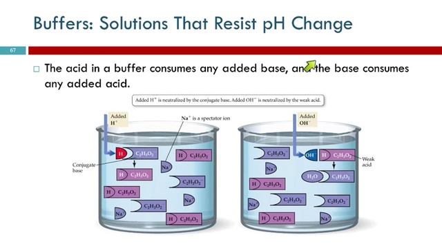 14.10 Buffers: Solutions That Resist pH Change смотреть онлайн
