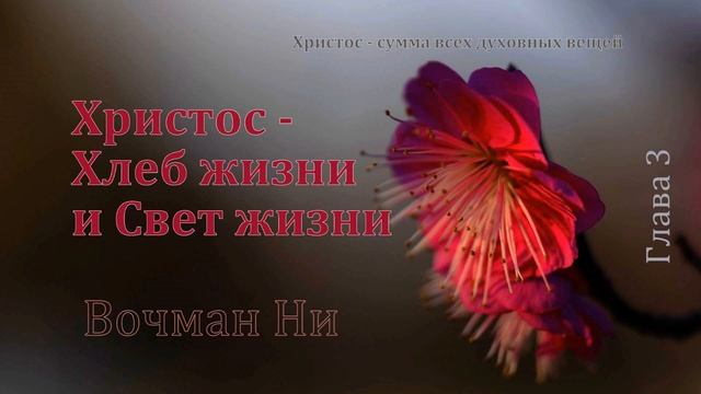 "Христос Хлеб жизни и Свет жизни" Вочман Ни смотреть онлайн