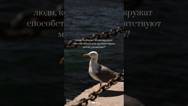 #психология #цитаты #счастье #2024 #здоровье #отношения #жизнь смотреть онлайн