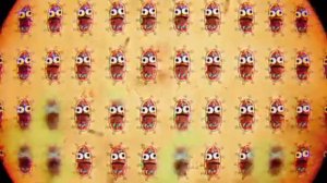 Удивительный мир гамбола бактерия