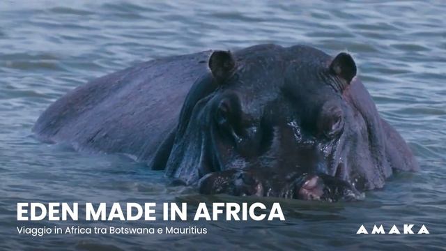 Viaggio in Africa tra Botswana e Mauritius | AMAKA смотреть онлайн