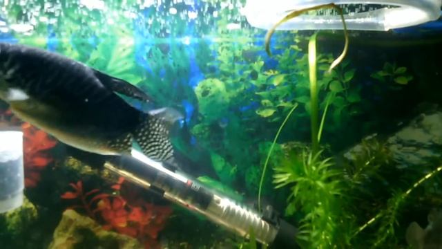 257399392927 1 смотреть онлайн