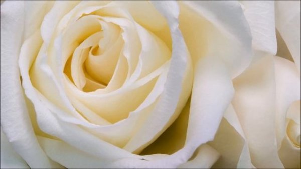 Ринат Рахматуллин-Сине генэ эзлимен