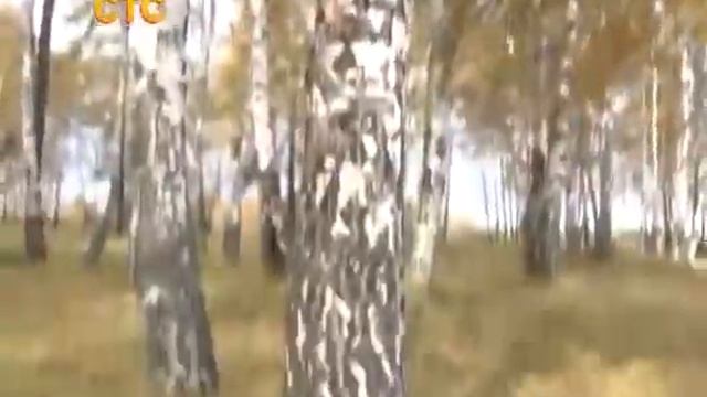 День Енисея Сбербанк смотреть онлайн