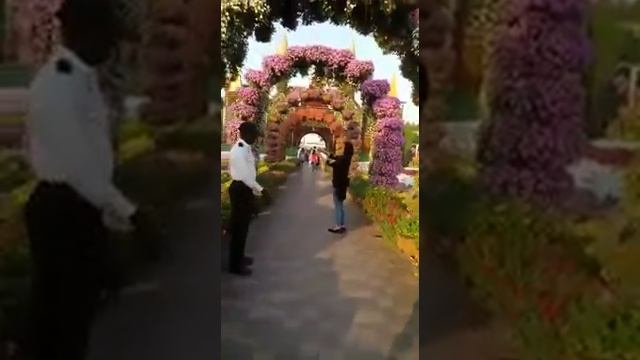 11 января 2018 г. смотреть онлайн