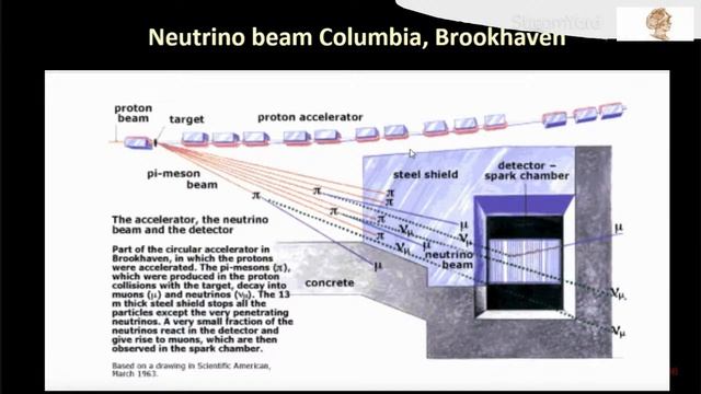 I misteri misteriosi dei neutrini 2: il neutrino muonico смотреть онлайн