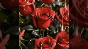 Евгений Коновалов-8 Марта.