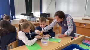 Формирование функциональной грамотности на уроках биологии