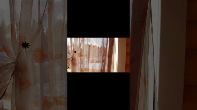 снт мошево смотреть онлайн