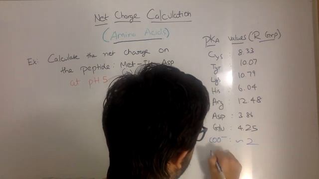 Amino acid Net Charge Calculation Intro смотреть онлайн