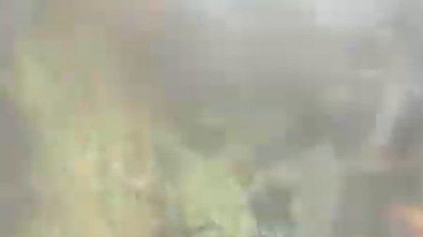 Песня про Таймасха