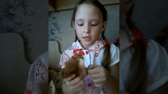 Сказка про белочку смотреть онлайн