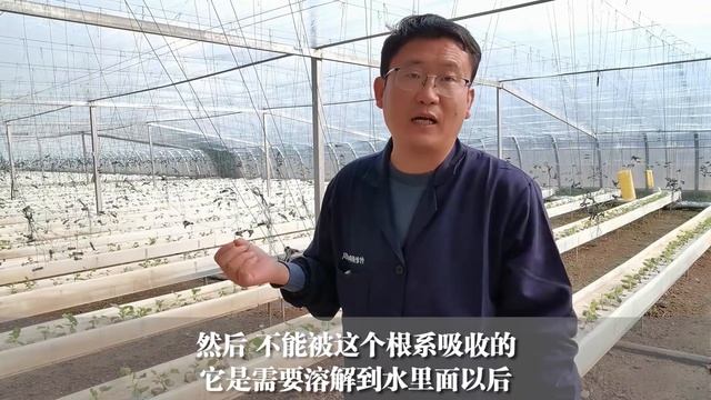 用什么肥料产量高？除了看含量配方，另外两个方面才重要 смотреть онлайн
