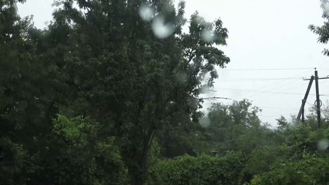 Bad Weather. Thunder.Slush.Rainfall.It's Raining
