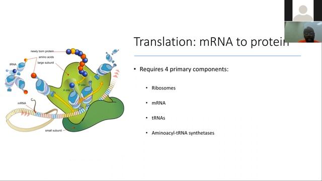 Do Bugs Get Sick? Intro to Molecular Biology & Virology смотреть онлайн