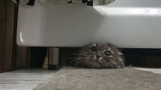 Любовь двух британцев смотреть онлайн