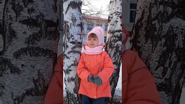 Белгород МДОУ 36 «Росинка» Даша Мишурова средняя группа стихотворение С.Есенина «Белая береза» смотреть онлайн