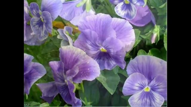 Ой, ты река, да ой ты же да речушка смотреть онлайн