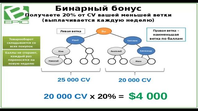 Bepic подробный маркетинг план компании!!! смотреть онлайн