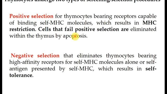 TCR CD3 Complex смотреть онлайн