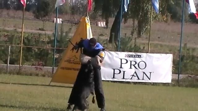 Ares vom Haus de Cos C-93 / Kubok CKVNO 2015 смотреть онлайн