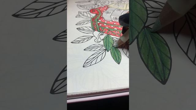 How To Color Green Leaves Prismacolor смотреть онлайн