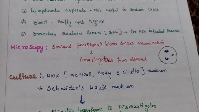 Kala Azar - Exam Points смотреть онлайн