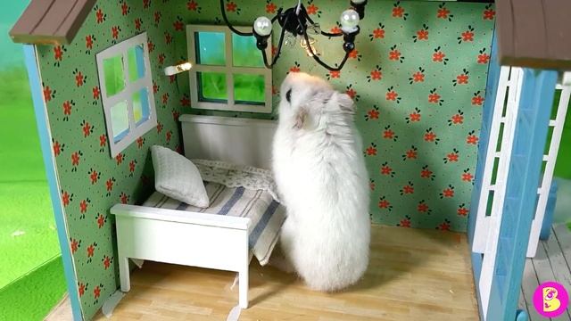 РЕМОНТ в ДОМИКЕ с ПРИВИДЕНИЯМИ** В ГОСТЯХ у ХОМЯЧКА ПЕТИ смотреть онлайн