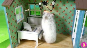 РЕМОНТ в ДОМИКЕ с ПРИВИДЕНИЯМИ** В ГОСТЯХ у ХОМЯЧКА ПЕТИ