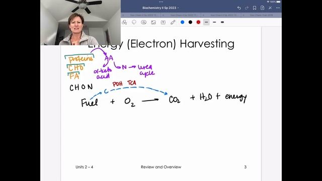 Fuel Metabolism Equation смотреть онлайн