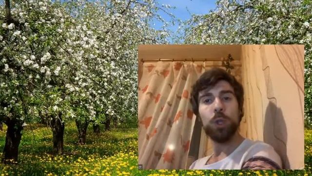 "Сказки на ночь". Александр Гутин. Одесские истории. смотреть онлайн