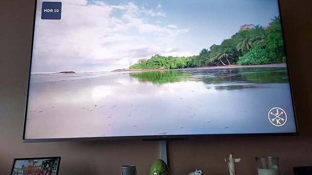 TCL 55C728 Calibration