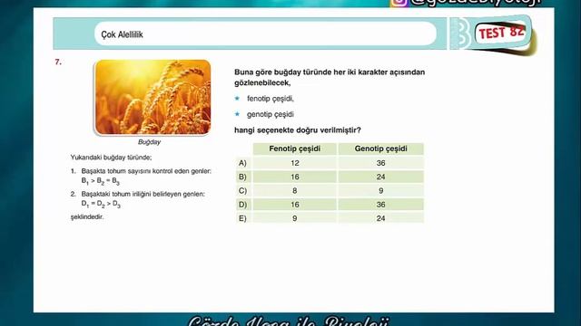 82.TEST-ÇOK ALELLİK смотреть онлайн