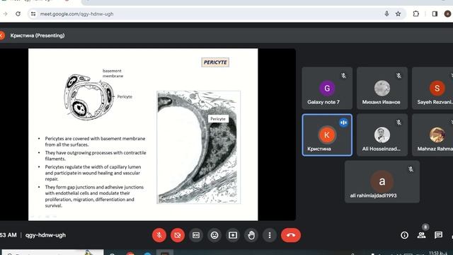 Connective tissue || 8 смотреть онлайн