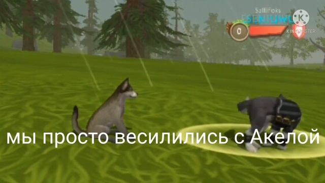 мини фильм ИСТОРИЯ о НУБЕ и ПРО смотреть онлайн