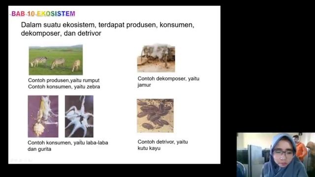 Ekosistem смотреть онлайн