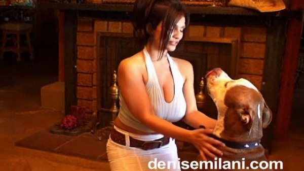 Denise Milani - Pitbull