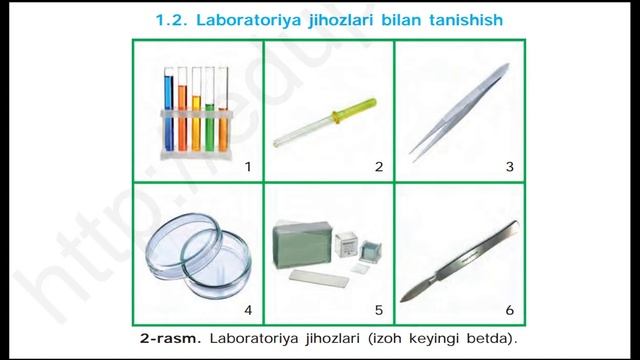 Laboratoriya jihozlari bilan tanishish смотреть онлайн