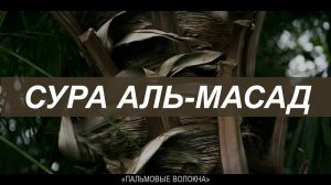 Сура 111 Аль-Масад Пальмовые волокна 7 раз