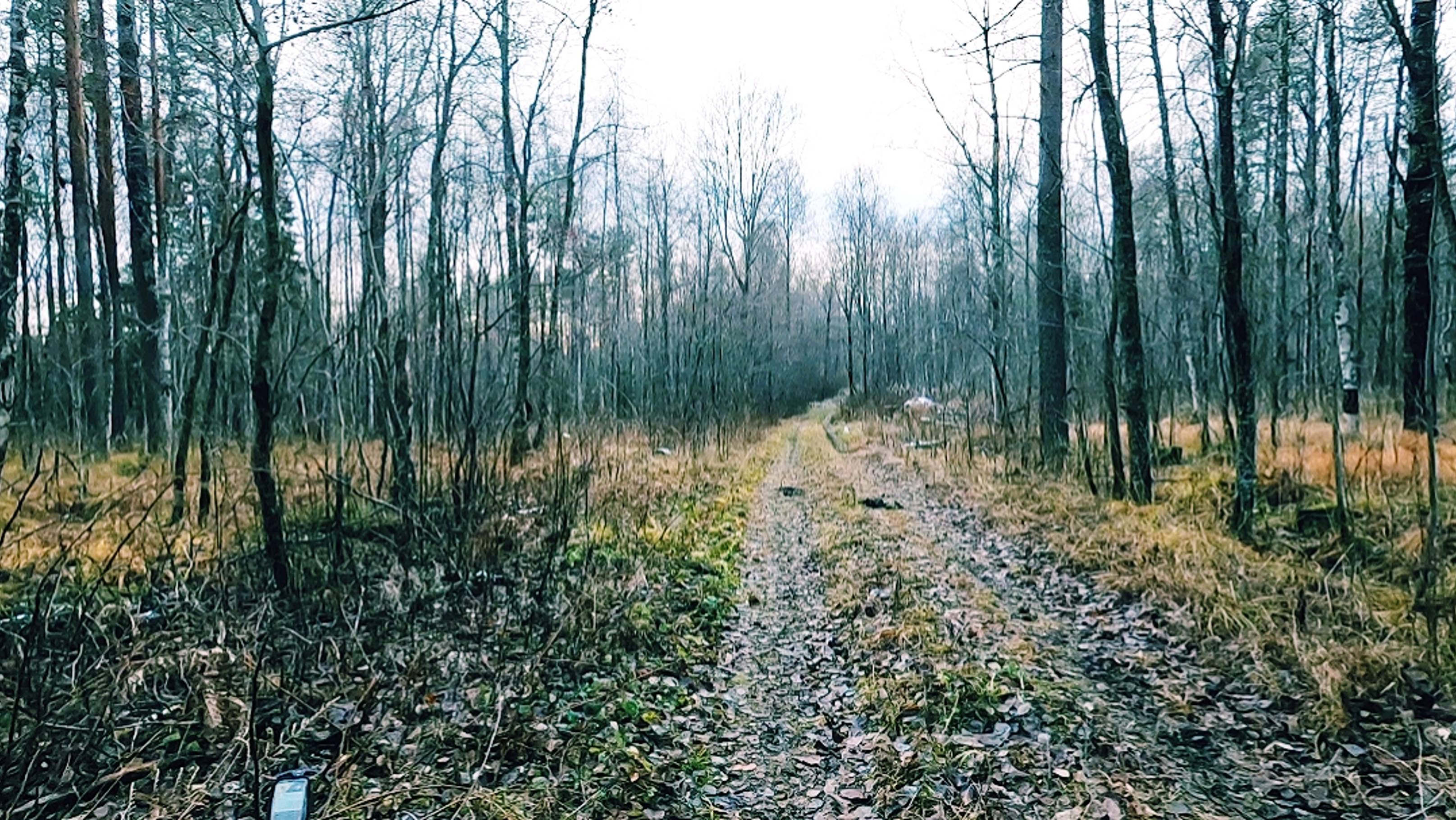 Прогулка с металлоискателем по окраинам леса смотреть онлайн