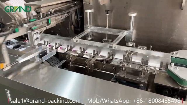 GDZ130 Cartoning Machine for Antigen Test Kit смотреть онлайн
