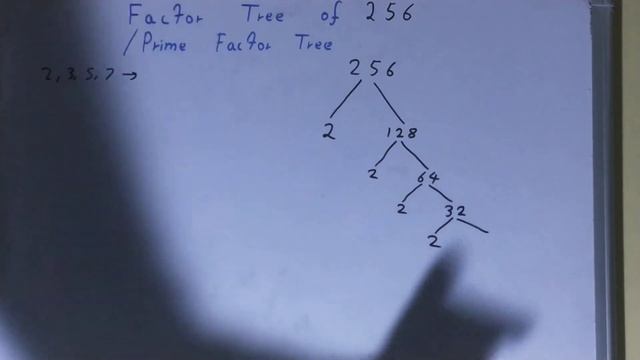 Factor tree of 256|Prime factor tree смотреть онлайн