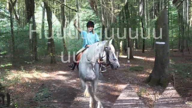 Mon amour de cheval смотреть онлайн